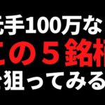 いま元手100万円で長期保有株を狙うならこの５銘柄なんてどう？