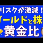 リスクが激減するゴールドの使い方【S&P500+金】