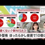 まだ遅くない？新NISA③ 中小型株 ほったらかし投資で10倍に!?【日経プラス９】（2024年5月1日）