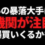 あの株価が大暴落している有名株ついに機関投資家の爆買いがきそう