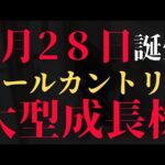 【新NISA成長投資枠】オールカントリー大型成長投資株の投資信託はオススメ！？