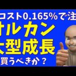 【アムンディ】オルカン大型成長株は買うべきか？