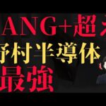 【新NISA投資信託】FANG+超えの野村半導体株はオススメ！？エヌビディア多めの投資信託