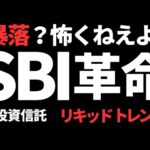 【暴落でも勝つ！】SBI証券限定の革命的投資信託　リキッドトレンド eMAXIS Slim 全世界株式 （オール・カントリー）オルカンのパートナー登場