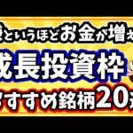 NISA成長投資枠の理想的な使い方とおすすめ銘柄20選