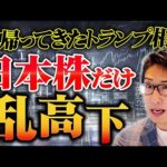 帰ってきたトランプ相場。日本株だけ乱高下するその理由と対処法を解説しています。