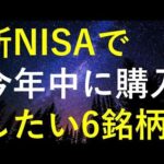 【おすすめ！！】今から新NISAで投資を始める時に成長投資枠240万円で買いたい6銘柄